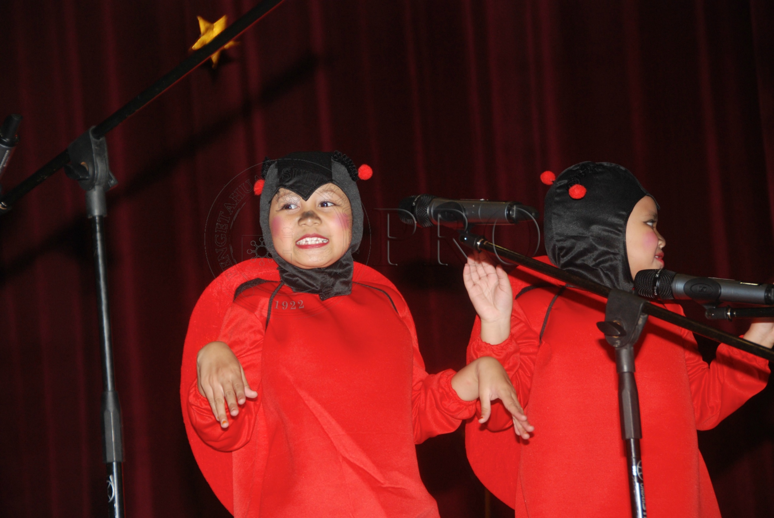 PRO 12 126 pkkk DSC 7505